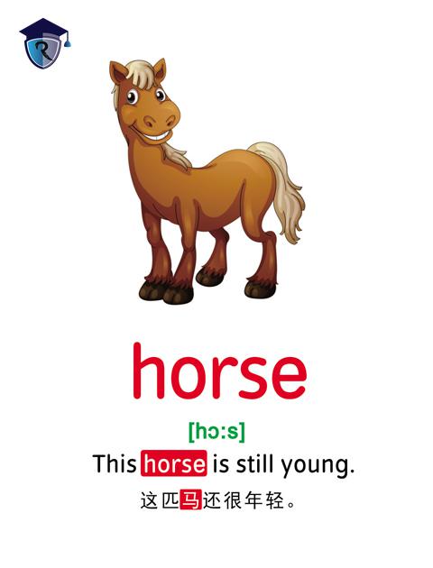 horse