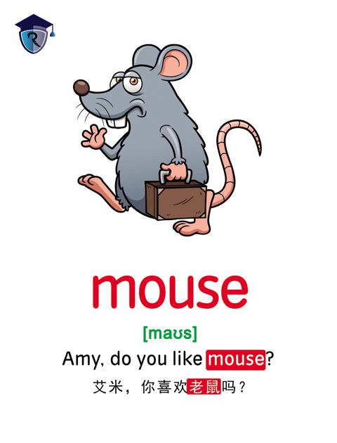 mouse
