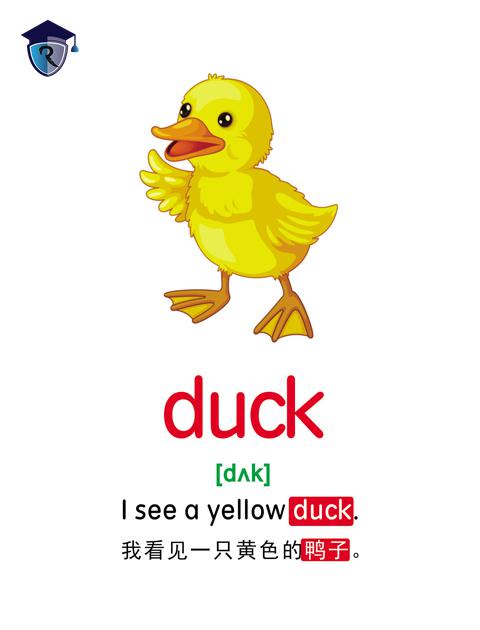 duck