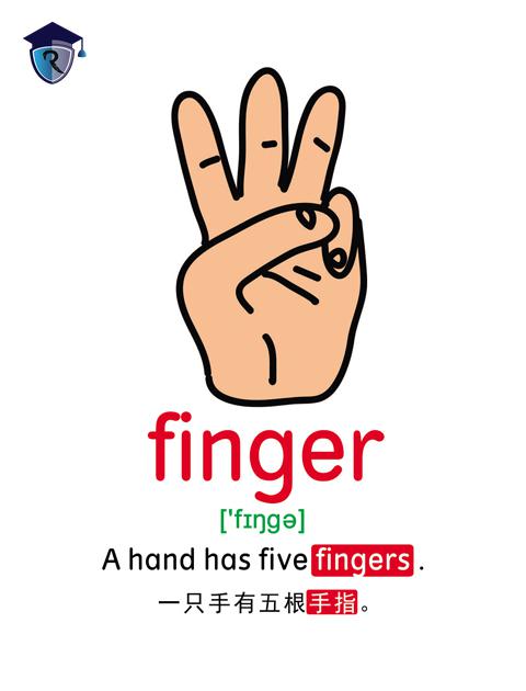 finger